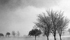 网页在线DDOS压力测试