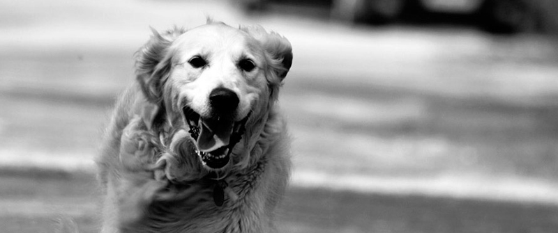 ddos攻击在哪能买到